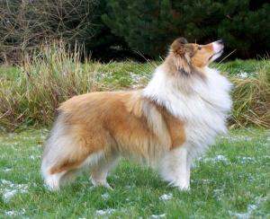 Norddream ze Skalní vyhlídky