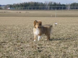 ALL MY DREAMS al Bader