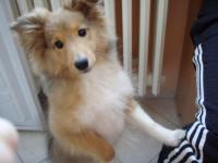 ALL MY DREAMS al Bader