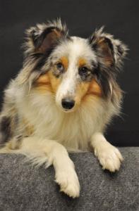 GALADRIEL BLUE z Říše fantazie