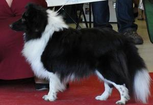 DAN BLACK z Vesničky u hranic