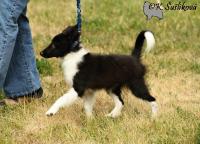 DAN BLACK z Vesničky u hranic