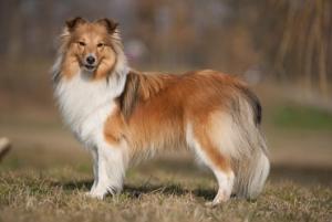 Angie Sparks of the Tempest