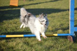 UP TO THE STARS z Ďáblovy studánky