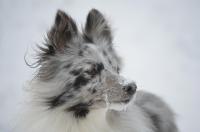 UP TO THE STARS z Ďáblovy studánky