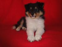 BACK IN BLACK Sparks of the Tempest