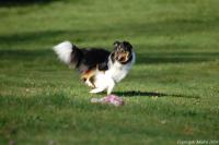 ŽAN z Karlova hrádku