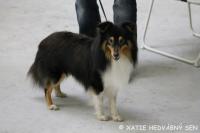 Xatie Hedvábný sen