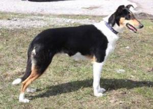 Bel Air Hurgada z Mošnova