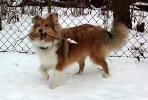 ADDICTION Sparks of the Tempest