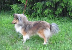 BEAUTY ze Smrčkova dvora