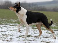 Being a Dream Alkami