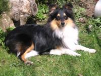 ERVIN BLACK z Vesničky u hranic