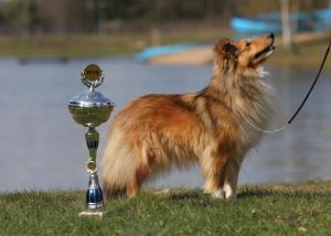 Optima z Ďáblovy studánky