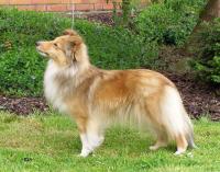 Optima z Ďáblovy studánky