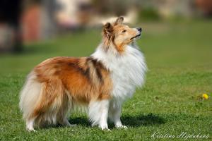 Zaynah Zay z Ďáblovy studánky