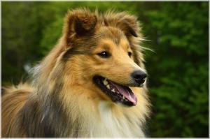 YUNIOR YUSTIN z Benešovské zahrady