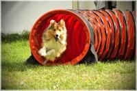 YUNIOR YUSTIN z Benešovské zahrady