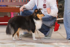 Holčička Black z Vesničky u hranic