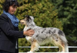 CELESTE z Lomu ve skále