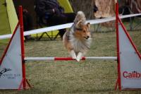 DAMIAN z Lomu ve skále