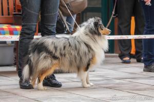 Just Not Spotless da Casa Mont' Alves