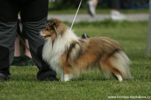 ISHA SAN Manepo Ideál