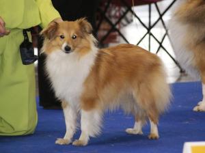 RED VELVET ze Skalní vyhlídky