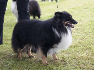 Lee od Růžové vily