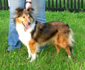 ELLIE z Gröbovské vinice