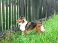 ELLIE z Gröbovské vinice