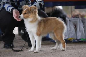 ALINKA Zahrada dětí