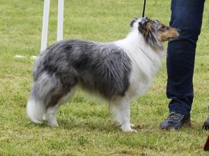 Cilka Blau z Vesničky u hranic