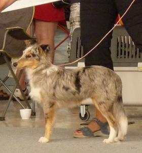 DUX BLAU z Vesničky u hranic