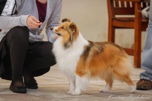 Keissi Manepo Ideál