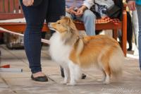 DAIQUIRI Beryllova krev