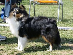 GODIE od Kamenité říčky