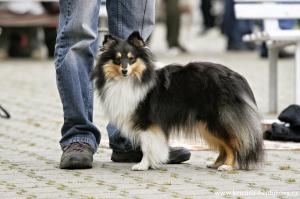 ABIGAIL z Labské přehrady