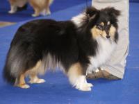 ABIGAIL z Labské přehrady