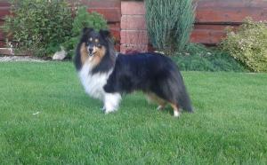 ANABELL Labská přehrada