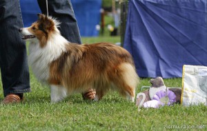 Xclusive Lady z Benešovské zahrady