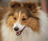 Xclusive Lady z Benešovské zahrady