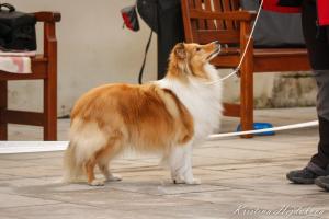 Lussi Lia Manepo Ideál