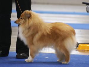 BRIANKA Zahrada dětí