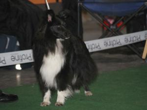 ČAČA z Pozdeňské vísky