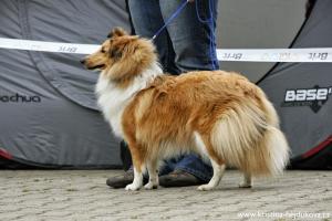 FLÉR z Duhové aury