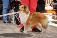 FLÉR z Duhové aury