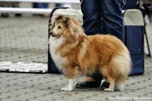 WHISPERING OF SPRING z Heřmanova dvora