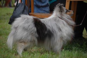 Paray's Make A Splash