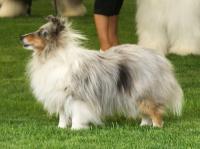 Paray's Make A Splash